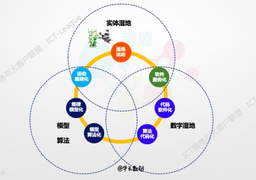 企業(yè)的數(shù)字化轉(zhuǎn)型 數(shù)據(jù)、算法、互聯(lián)網(wǎng)服務(wù)與工業(yè)互聯(lián)網(wǎng)數(shù)據(jù)服務(wù)的核心探討