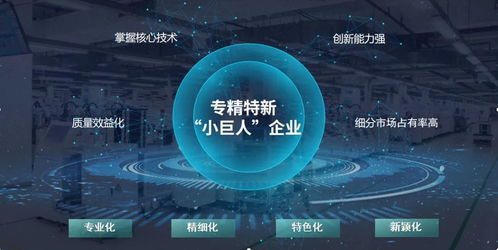 玄羽科技榮膺國家級“專精特新”小巨人企業(yè)，引領(lǐng)工業(yè)互聯(lián)網(wǎng)數(shù)據(jù)服務(wù)新篇章
